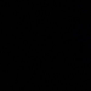 Meet your Posher, Rashel